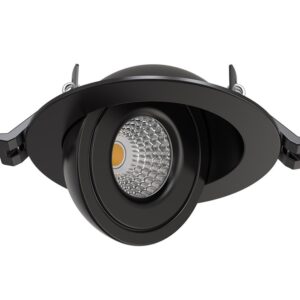 Empotrado de techo orientable negro